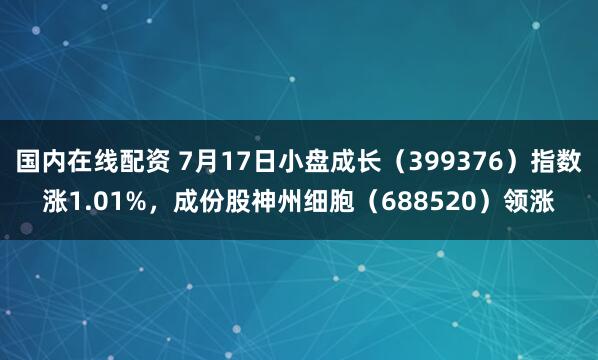 国内在线配资 7月17日小盘成长（399376）指数涨1.01%，成份股神州细胞（688520）领涨